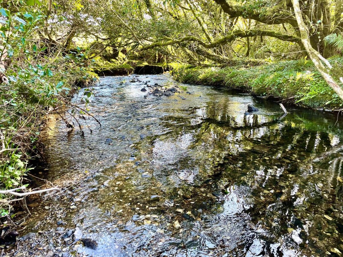 Stepping Stones Glamping 'The Olive' Villa Bantry Exterior photo